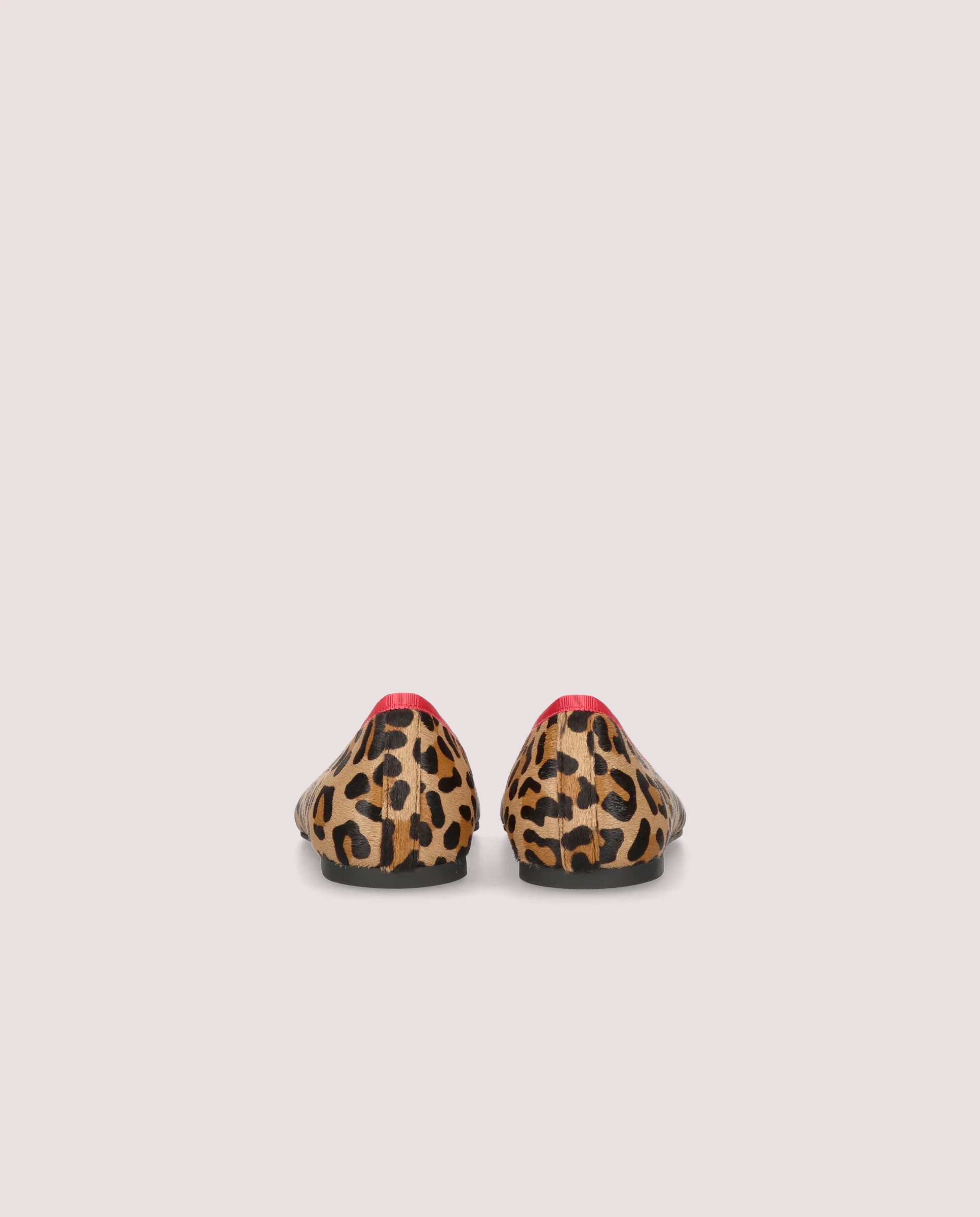 Bailarinas Paris Animal print Poni - Image 4